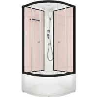 Душевая кабина Domani-Spa Delight 110 High 100x100 DS01D110HPcCl00 профиль Графит задние стенки Розовые