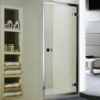 Душевая дверь в нишу WeltWasser WW800 K1 100 10000002730 профиль Хром стекло прозрачное