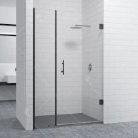 Душевая дверь в нишу RGW Hotel HO-012 B 100 профиль Черный стекло прозрачное