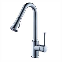 Смеситель для кухни Schein Kitchen 50301/1039024 Хром