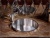 Смеситель для кухни Jacob Delafon Carafe E18865-VS Сталь