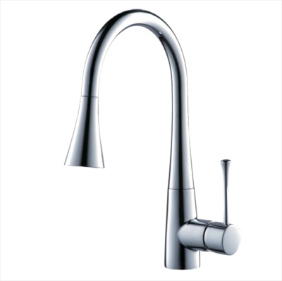 Смеситель для кухни Schein Kitchen 50222/1046024 Хром