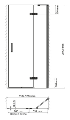 Душевая дверь в нишу WasserKRAFT Aller 10H 120x200 Черный Хром