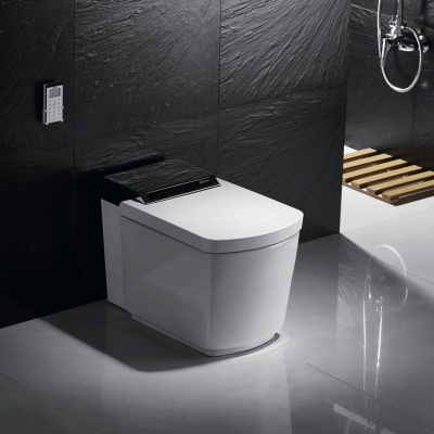 Унитаз биде Orans IT-803JAD приставной с сиденьем Микролифт