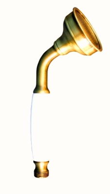 Лейка для душа Rav Slezak KS0017 Хром