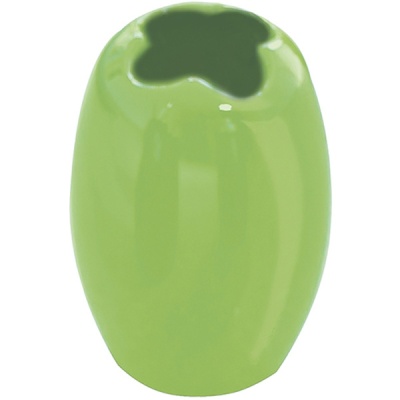 Стакан для зубных щеток Ridder Shiny 22230205 Зеленый