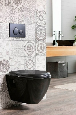 Клавиша смыва Creavit Spa GP7002.02 Черная