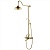 Душевая стойка Schein Saine Gold 8053055VF Золотой