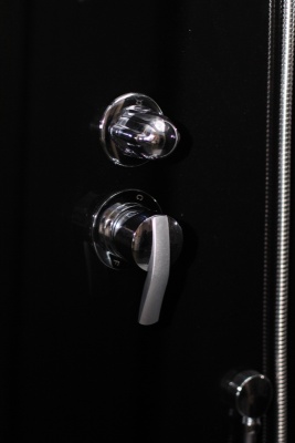 Душевая кабина Parly Classic CM120L 120х215 профиль Сатин стекло тонированное