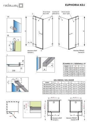 Дверь для душевого уголка Radaway Euphoria KDJ 100x200 профиль хром, стекло прозрачное, петли слева