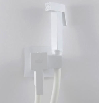 Гигиенический душ Webert Pegaso PE870303740 со смесителем Белый матовый