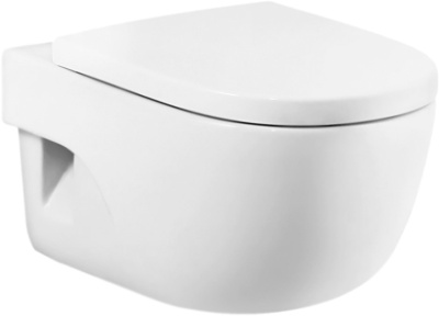 Комплект унитаза Roca Meridian N 346247000 с инсталляцией Geberit Duofix Delta UP100 458.124.21.1 с сиденьем Микролифт и клавишей смыва Хром