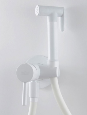 Гигиенический душ Webert Sax Evolution SE870303740 со смесителем Белый матовый