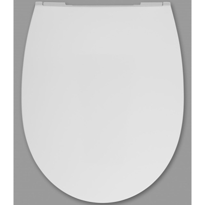 Крышка-сиденье для унитаза Roca Leon ZRU9302943 Белая с микролифтом