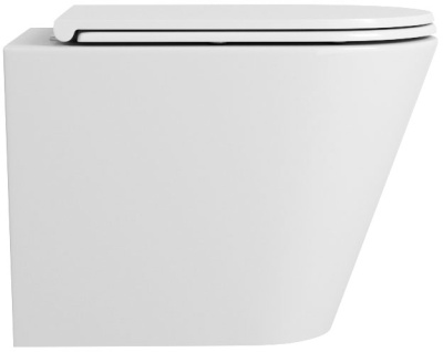 Унитаз Owl 1975 Vind Ruta-H OWLT190304 подвесной с сиденьем Микролифт