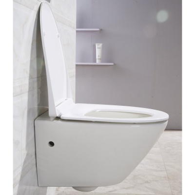 Унитаз BelBagno Alpha BB300CHR подвесной без сиденья