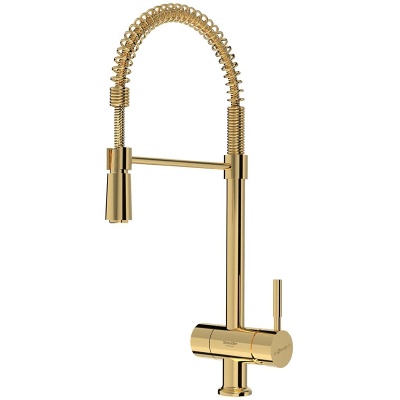 Смеситель для кухни Shouder Pull out Alster 0290606 Золото