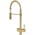 Смеситель для кухни Shouder Pull out Alster 0290606 Золото