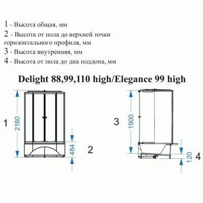 Душевая кабина Domani-Spa Delight 110 High 100x100 DS01D110HDbCl00 профиль Графит задние стенки Синие