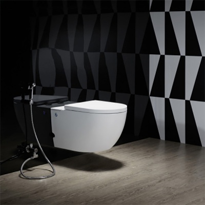 Унитаз Cerutti SPA C-376C 7277 с импульсным смывом с инсталляцией с сиденьем Микролифт