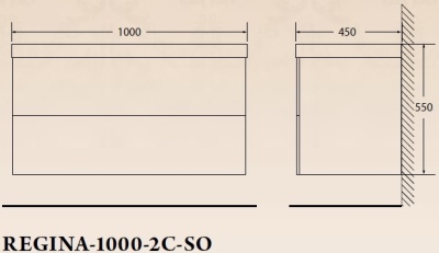 Тумба под раковину BelBagno Regina 100 REGINA-1000-2C-SO-MR-BLUM подвесная Marmo Rosa