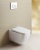 Комплект унитаза BelBagno Alpina BB10100CHR с инсталляцией Geberit Duofix Delta 458.124.21.1 с сиденьем Микролифт и клавишей смыва Хром