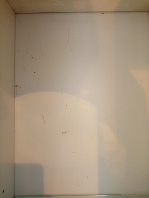 Шкаф пенал Бриклаер Катрин 32 R с бельевой корзиной Белый