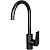 Смеситель для кухни WasserKRAFT Glan 6607 Черный глянцевый