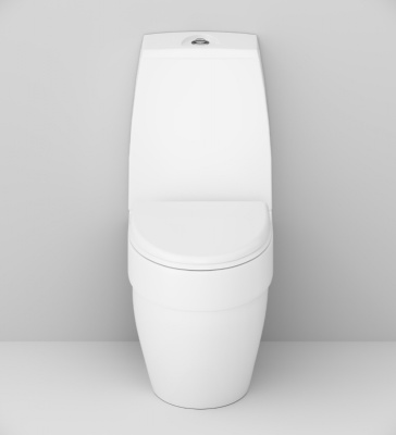 Унитаз компакт AM.PM Bliss L C538607SC с бачком и сиденьем Микролифт