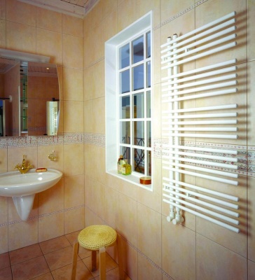 Полотенцесушитель Zehnder Yucca Star YAS-180-050 Белый