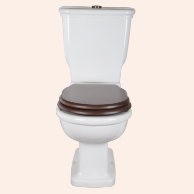 Унитаз TW Bristol TWBR50bi Белый