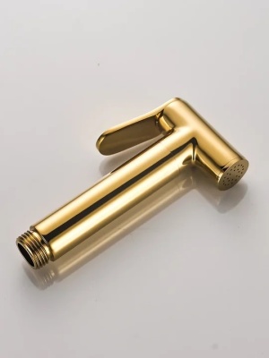 Гигиенический душ со смесителем ALMAes Benito AL-859-08 Золото