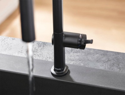 Смеситель для кухни Hansgrohe Talis M54 72801800 Нержавеющая сталь