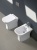 Биде Cerutti SPA 1215С Vettore Bi 7271 напольное Белый