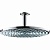 Верхний душ Hansgrohe Raindance 30 27494000 Хром