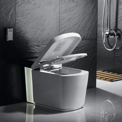 Унитаз биде Orans IT-803JAD приставной с сиденьем Микролифт