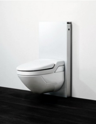 Инсталляция Geberit Monolith AquaClean 8000 131.024.SI.1 для унитаза со смывным бачком