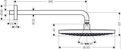 Верхний душ Hansgrohe Raindance Select S 30 27378400 Хром/Белый
