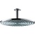 Верхний душ Hansgrohe Raindance 30 27494000 Хром
