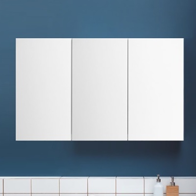 Зеркальный шкаф Dreja Premium 100 77.9003W Белый глянец