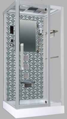 Душевая кабина Niagara Lux 7714 100x90 профиль Серебристый матовый задняя стенка Черная