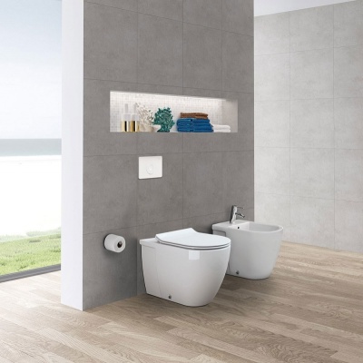 Унитаз Sanitana Coral S10063918100000+S80006562600000 подвесной с сиденьем Микролифт