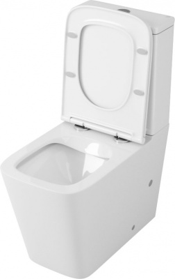Унитаз компакт Owl 1975 Vatter Ruta-G OWLT190402 без бачка с сиденьем Микролифт