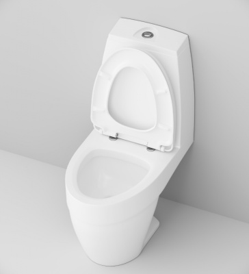 Унитаз компакт AM.PM Bliss L C538607SC с бачком и сиденьем Микролифт