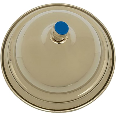 Верхний душ Aquanet Classic ARB08T1 202244 Золото