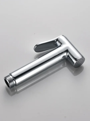 Гигиенический душ со смесителем ALMAes Benito AL-859-01 Хром