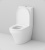 Унитаз-компакт AM.PM Inspire C508607WH с бачком без сиденья