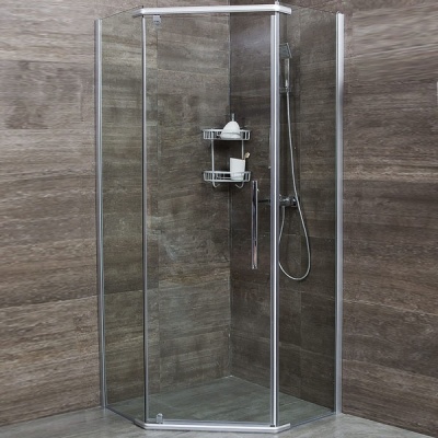 Душевой уголок Erlit ER10110V 100x100 профиль Матовый хром стекло прозрачное