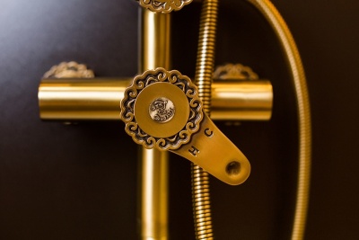 Душевая система Bronze de Luxe Windsor 10120P F Цветок