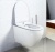 Унитаз BelBagno Sfera-R BB513CH подвесной без сиденья Унитаз BelBagno Sfera-R BB513CH подвесной без сиденья